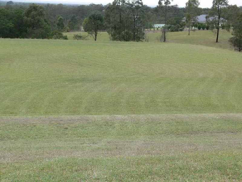 Large-Area-Mowing---after.JPG - large